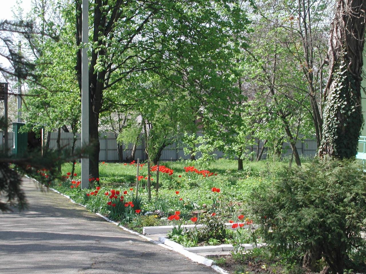 Zelenyi Kampus Hotel Одеса Екстериор снимка
